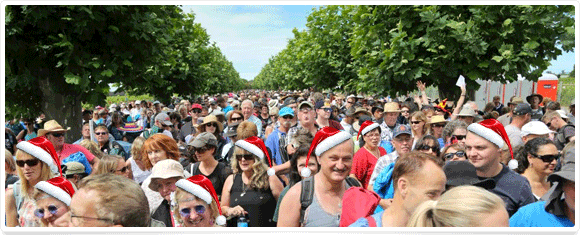 Buy your loved one a ticket to the<br> Mission Estate Winery Concert